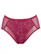 Beauty Deep Brief - Burgundy