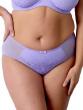 Beauty Lace Deep Brief - Violet Tulip